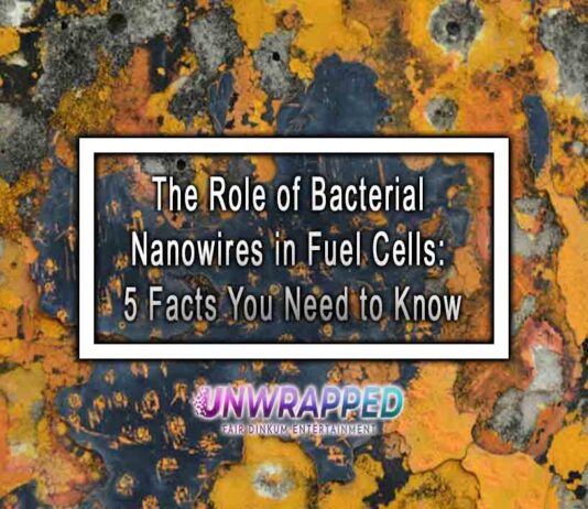 The Role of Bacterial Nanowires in Fuel Cells: 5 Facts You Need to Know
