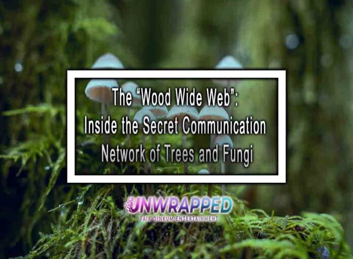 The “Wood Wide Web” Inside the Secret Communication Network of Trees and Fungi The “Wood Wide Web”: Inside the Secret Communication Network of Trees and Fungi