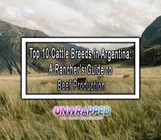 Top 10 Cattle Breeds in Argentina: A Rancher’s Guide to Beef Production