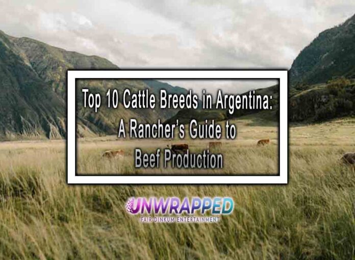 Top 10 Cattle Breeds in Argentina: A Rancher’s Guide to Beef Production