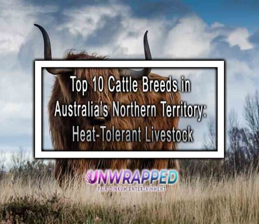 Top 10 Cattle Breeds in Australia’s Northern Territory: Heat-Tolerant Livestock