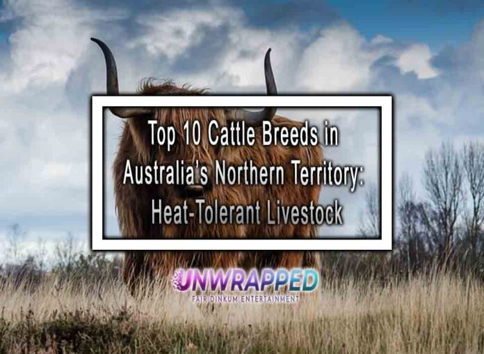Top 10 Cattle Breeds in Australia’s Northern Territory Heat-Tolerant Livestock Top 10 Cattle Breeds in Australia’s Northern Territory: Heat-Tolerant Livestock