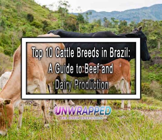 Top 10 Cattle Breeds in Brazil: A Guide to Beef and Dairy Production