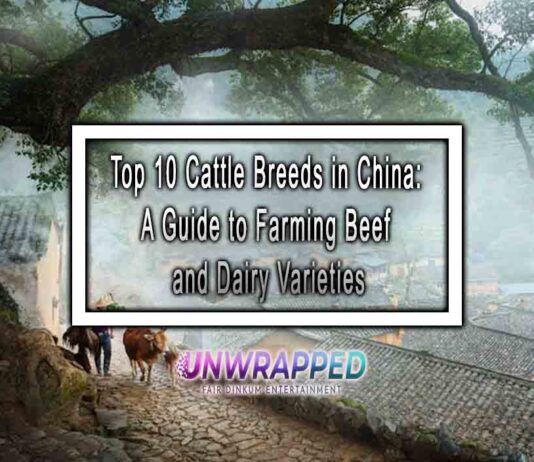 Top 10 Cattle Breeds in China: A Guide to Farming Beef and Dairy Varieties