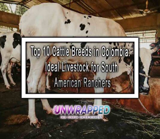 Top 10 Cattle Breeds in Colombia: Ideal Livestock for South American Ranchers