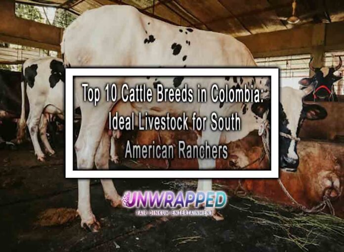 Top 10 Cattle Breeds in Colombia: Ideal Livestock for South American Ranchers