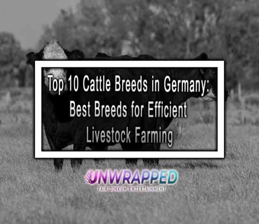 Top 10 Cattle Breeds in Germany: Best Breeds for Efficient Livestock Farming