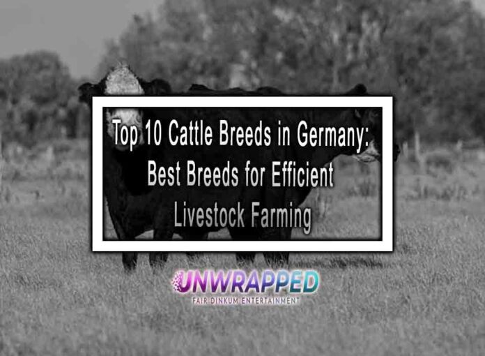 Top 10 Cattle Breeds in Germany: Best Breeds for Efficient Livestock Farming