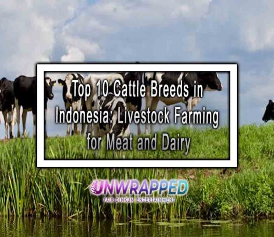 Top 10 Cattle Breeds in Indonesia: Livestock Farming for Meat and Dairy