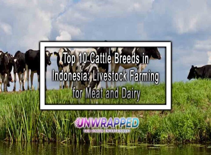 Top 10 Cattle Breeds in Indonesia Livestock Farming for Meat and Dairy Top 10 Cattle Breeds in Indonesia: Livestock Farming for Meat and Dairy