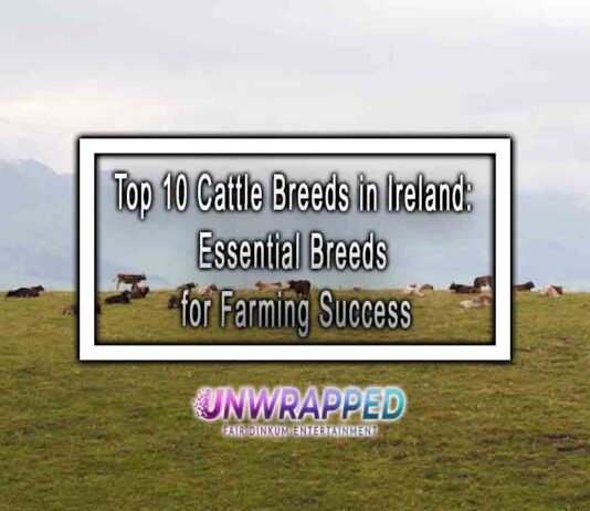 Top 10 Cattle Breeds in Ireland: Essential Breeds for Farming Success