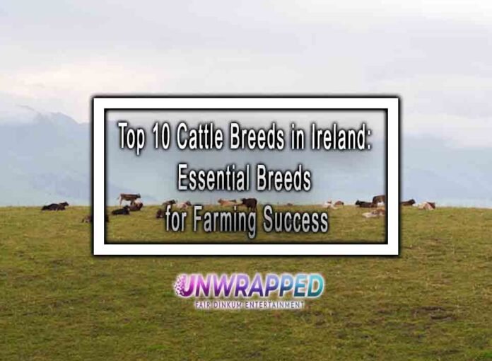 Top 10 Cattle Breeds in Ireland: Essential Breeds for Farming Success