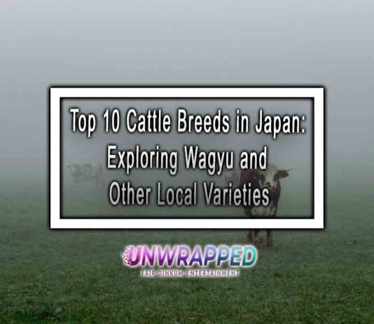Top 10 Cattle Breeds in Japan: Exploring Wagyu and Other Local Varieties