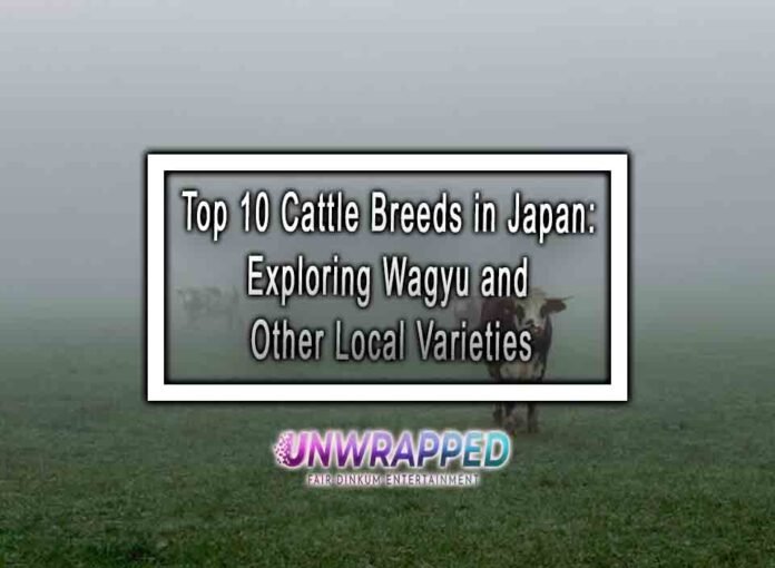 Top 10 Cattle Breeds in Japan: Exploring Wagyu and Other Local Varieties