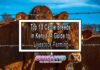 Top 10 Cattle Breeds in Kenya: A Guide to Livestock Farming