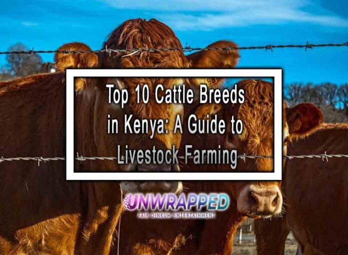 Top 10 Cattle Breeds in Kenya: A Guide to Livestock Farming