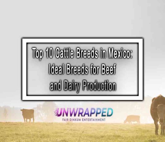 Top 10 Cattle Breeds in Mexico: Ideal Breeds for Beef and Dairy Production