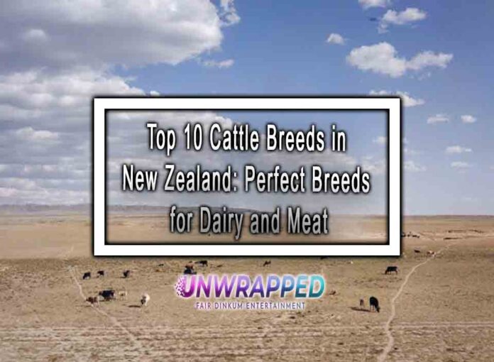 Top 10 Cattle Breeds in New Zealand: Perfect Breeds for Dairy and Meat