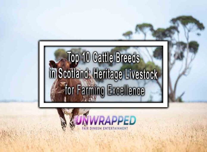 Top 10 Cattle Breeds in Scotland Heritage Livestock for Farming Excellence Top 10 Cattle Breeds in Scotland: Heritage Livestock for Farming Excellence