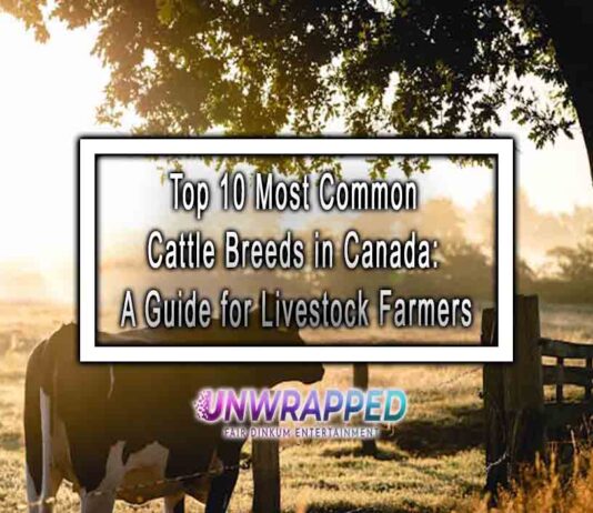 Top 10 Most Common Cattle Breeds in Canada: A Guide for Livestock Farmers