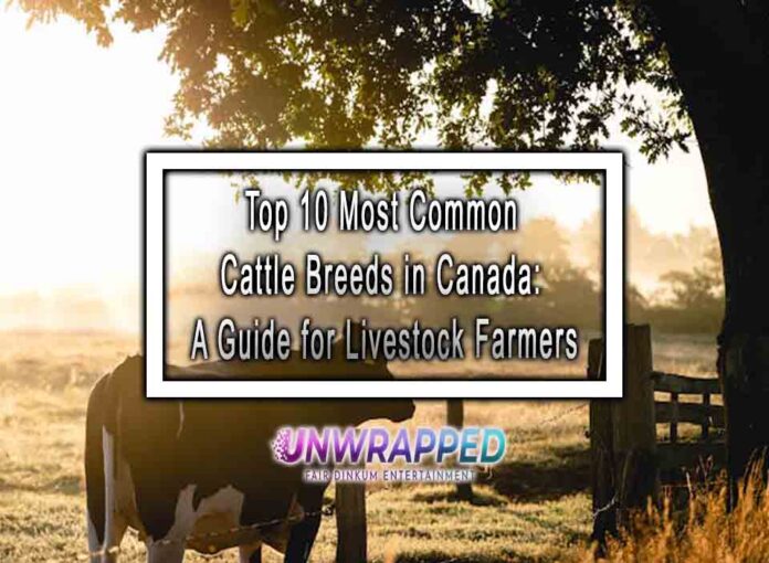 Top 10 Most Common Cattle Breeds in Canada: A Guide for Livestock Farmers