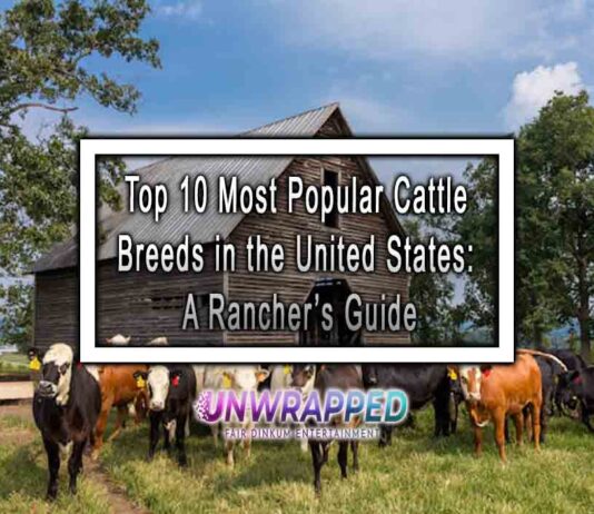 Top 10 Most Popular Cattle Breeds in the United States: A Rancher’s Guide