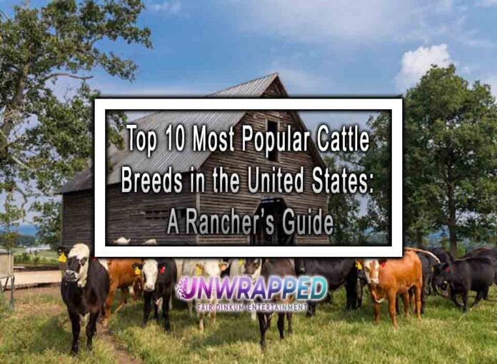 Top 10 Most Popular Cattle Breeds in the United States: A Rancher’s Guide