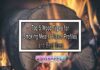 Top 5 Wood Types for Smoking Meats: Flavor Profiles and Best Uses Top 5 Wood Types for Smoking Meats: Flavor Profiles and Best Uses