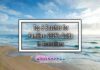 Top 8 Beaches for Families: 2025’s Guide to Australians Top 8 Beaches for Families: 2025’s Guide to Australians