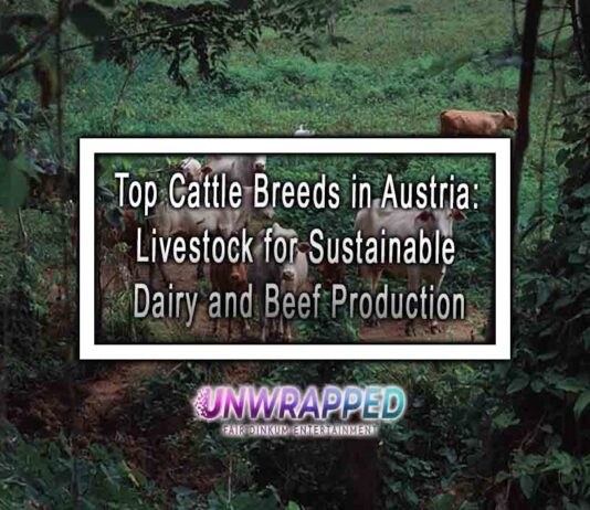 Top Cattle Breeds in Austria: Livestock for Sustainable Dairy and Beef Production