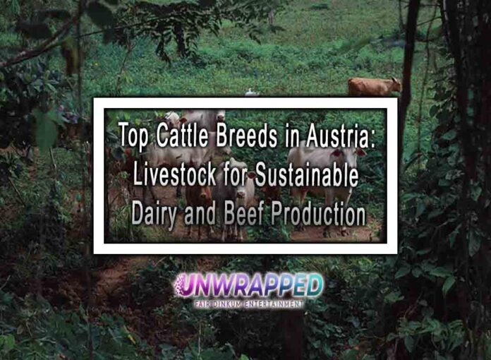 Top Cattle Breeds in Austria: Livestock for Sustainable Dairy and Beef Production