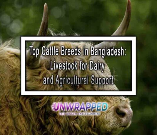 Top Cattle Breeds in Bangladesh: Livestock for Dairy and Agricultural Support