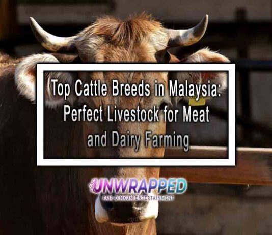 Top Cattle Breeds in Malaysia: Perfect Livestock for Meat and Dairy Farming