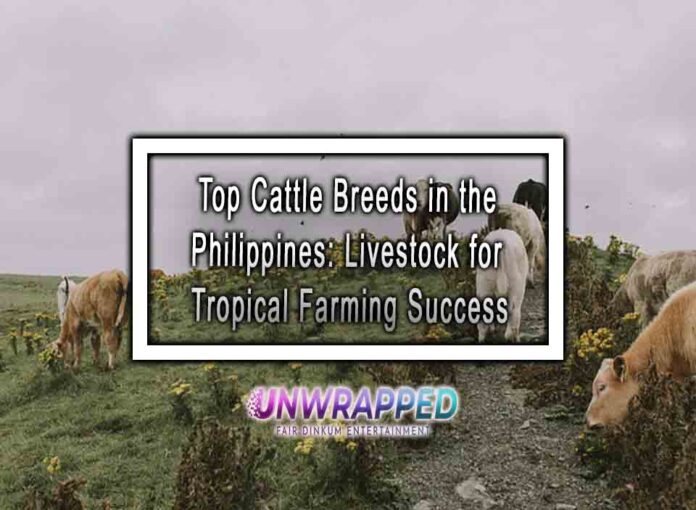 Top Cattle Breeds in the Philippines: Livestock for Tropical Farming Success