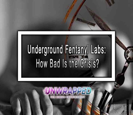 Underground Fentanyl Labs: How Bad Is the Crisis? Underground Fentanyl Labs: How Bad Is the Crisis?