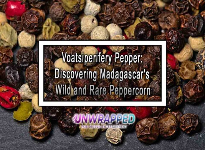 Voatsiperifery Pepper: Discovering Madagascar's Wild and Rare Peppercorn