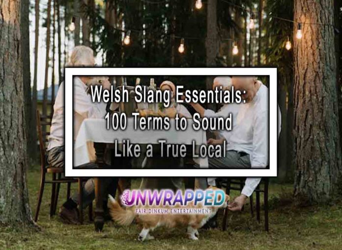 Welsh Slang Essentials 100 Terms to Sound Like a True Local Welsh Slang Essentials: 100 Terms to Sound Like a True Local