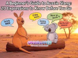 A Beginner’s Guide to Aussie Slang: 20 Expressions to Know Before You Go
