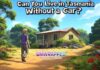 Can You Live in Tasmania Without a Car? Can You Live in Tasmania Without a Car?