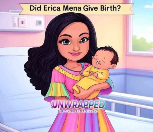 Did Erica Mena Give Birth?