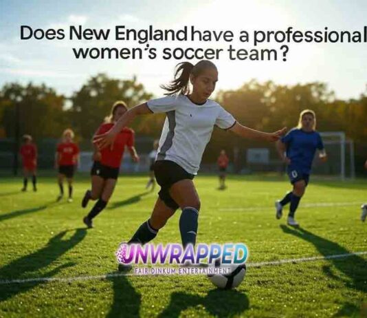 Does New England have a professional women's soccer team?