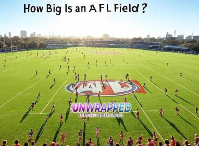 How Big Is an AFL Field?