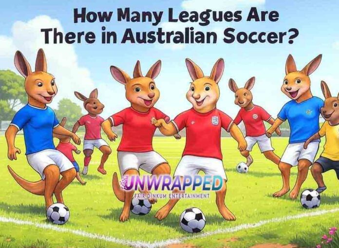 How Many Leagues Are There in Australian Soccer?