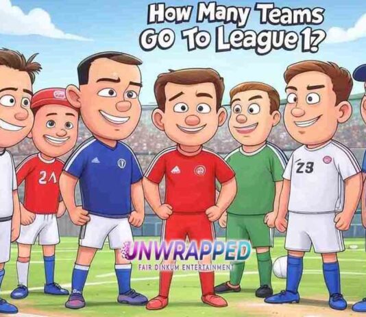 How Many Teams Go to League 1?