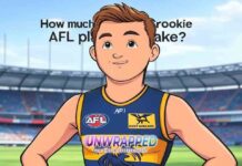 How much does the AFL make a year?