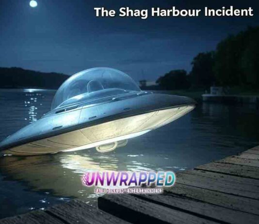 The Shag Harbour Incident Canadas 1967 UFO Crash