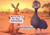 What Is a Fun Fact About South Australia? What Is a Fun Fact About South Australia?