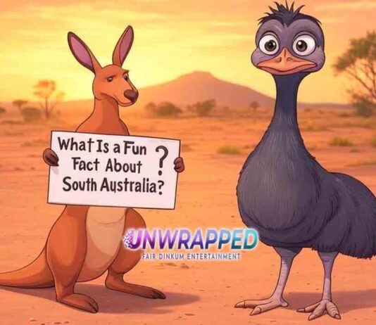 What Is a Fun Fact About South Australia?