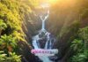 What’s the Most Famous Scenic Place in Queensland Near Cairns? What’s the Most Famous Scenic Place in Queensland Near Cairns?