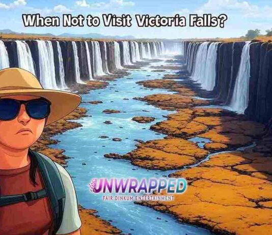 When Not to Visit Victoria Falls? When Not to Visit Victoria Falls?